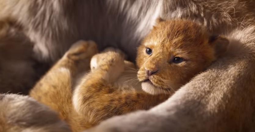 Disney випустив тизер до оновленого мультфільму &quot;Король Лев&quot;